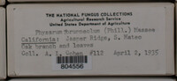Image Associated With the Occurence